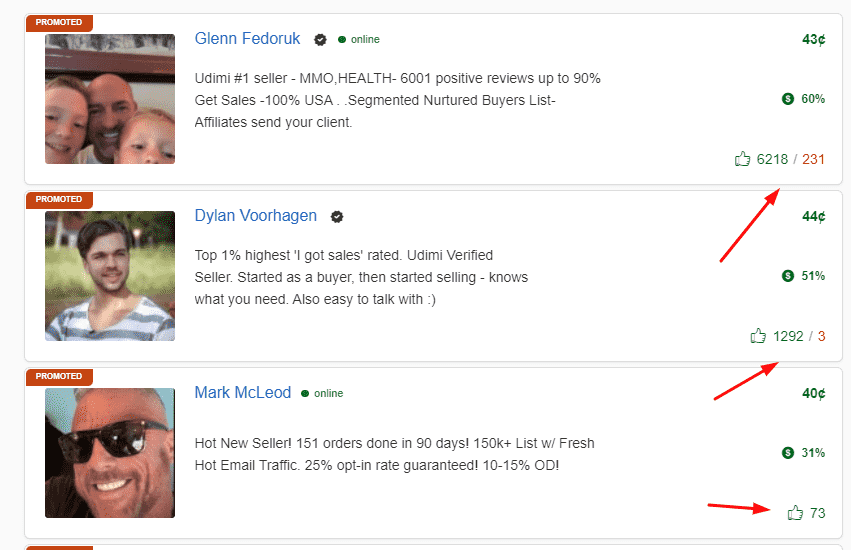 Udimi Solo Ads Screenshot