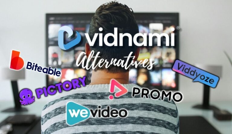 Best Vidnami Alternatives